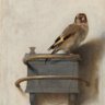 Carel Fabritius's profile picture