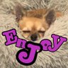 うるる。💜🐕 的头像