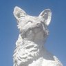 Psych0 fOx's profile picture