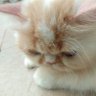 Nur Riezki N profil fotoğrafı