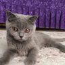 Фото профиля Demhat
