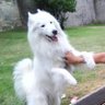 Lesya's profile picture