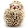 ハリネズミ's profile picture