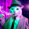 Profilbild von Jay F