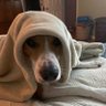 OtisLily's profile picture