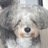 ふれさん profil fotoğrafı