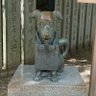 トムソン。 profil fotoğrafı