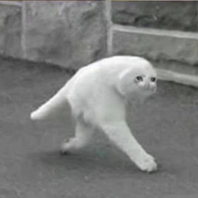 biantaoti6's profile picture