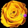 Profilbild von み☆☆☆き🥊 🛼🩵💜🧡🩷💛💚🛼🥊