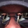 Savi Vila's profile picture