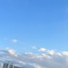 たるたる 的头像