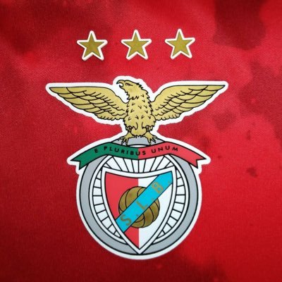 SL BENFICA's profile picture