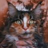 Profilbild von MayKin_001