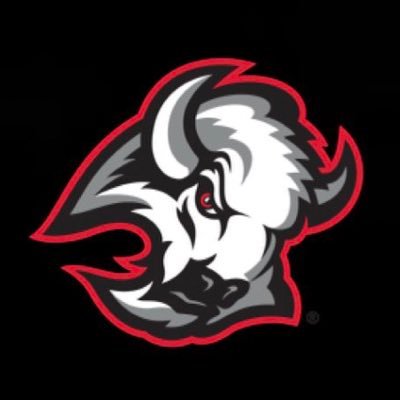 sabres_talk's profile picture