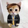 Profilbild von Ahmad Syauqi
