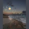 AmeeRa🦋🎨 profil fotoğrafı