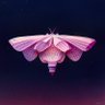 SUNSUN's profile picture
