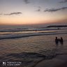 עמוס גונן's profile picture