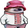Psychodisco profil fotoğrafı