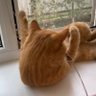 Ivan Hraboviy profil fotoğrafı