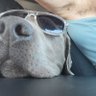 Larry profil fotoğrafı
