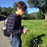 yosef ochoa rosales's profile picture