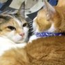 じくまる profil fotoğrafı