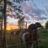 OutdoorsWI's profile picture