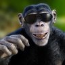 ChillMonkey123 profil fotoğrafı