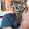 Profilbild von Dr. Bongo Catbot