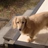 まさ 的头像