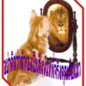 cha's profile picture