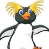 sonja van ossel's profile picture