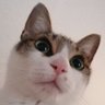 てんと小梅's profile picture