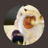 الرمز أمر... profil fotoğrafı