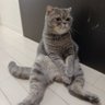 Profilbild von 射手座