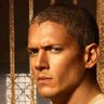 Michael Scofield 的头像