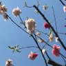 オバタリ餡子⭐︎ 的头像