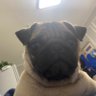 李先生 profil fotoğrafı