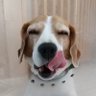 Keiko I.Soper profil fotoğrafı