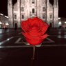 . profil fotoğrafı