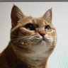 Profilbild von Sp