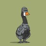RoboGoose's profile picture