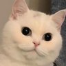 明空's profile picture