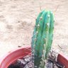 Фото профиля tupazescobarde