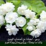 Isteqlal's profile picture