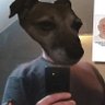 kapi's profile picture
