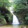 がん profil fotoğrafı