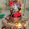 Bharatsinh Raol's profile picture