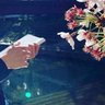 Фото профиля 感情が全てだ
